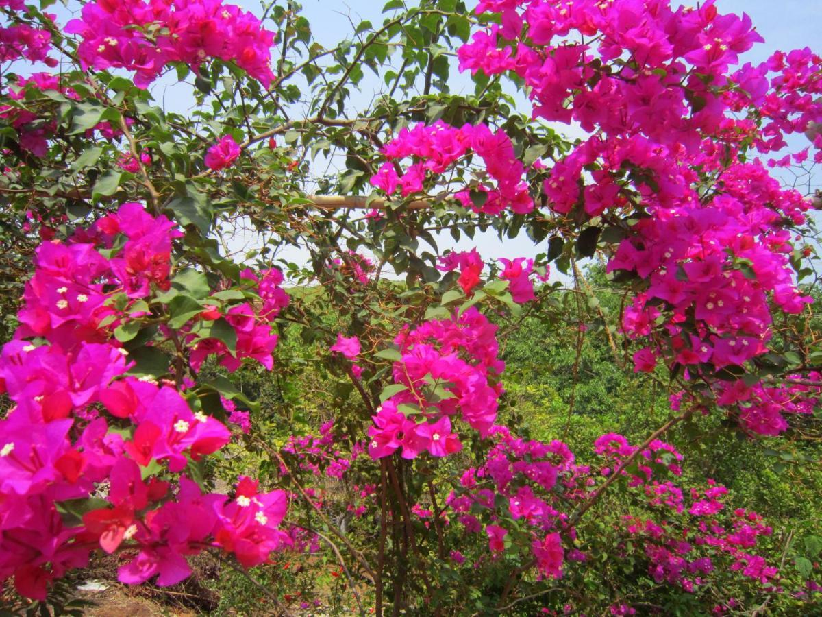 Namaste Yoga Farm Villa Gokarna  Buitenkant foto