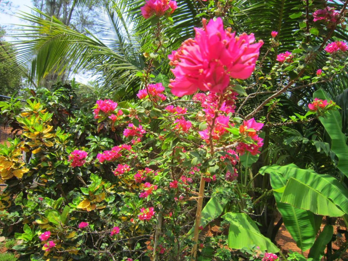 Namaste Yoga Farm Villa Gokarna  Buitenkant foto