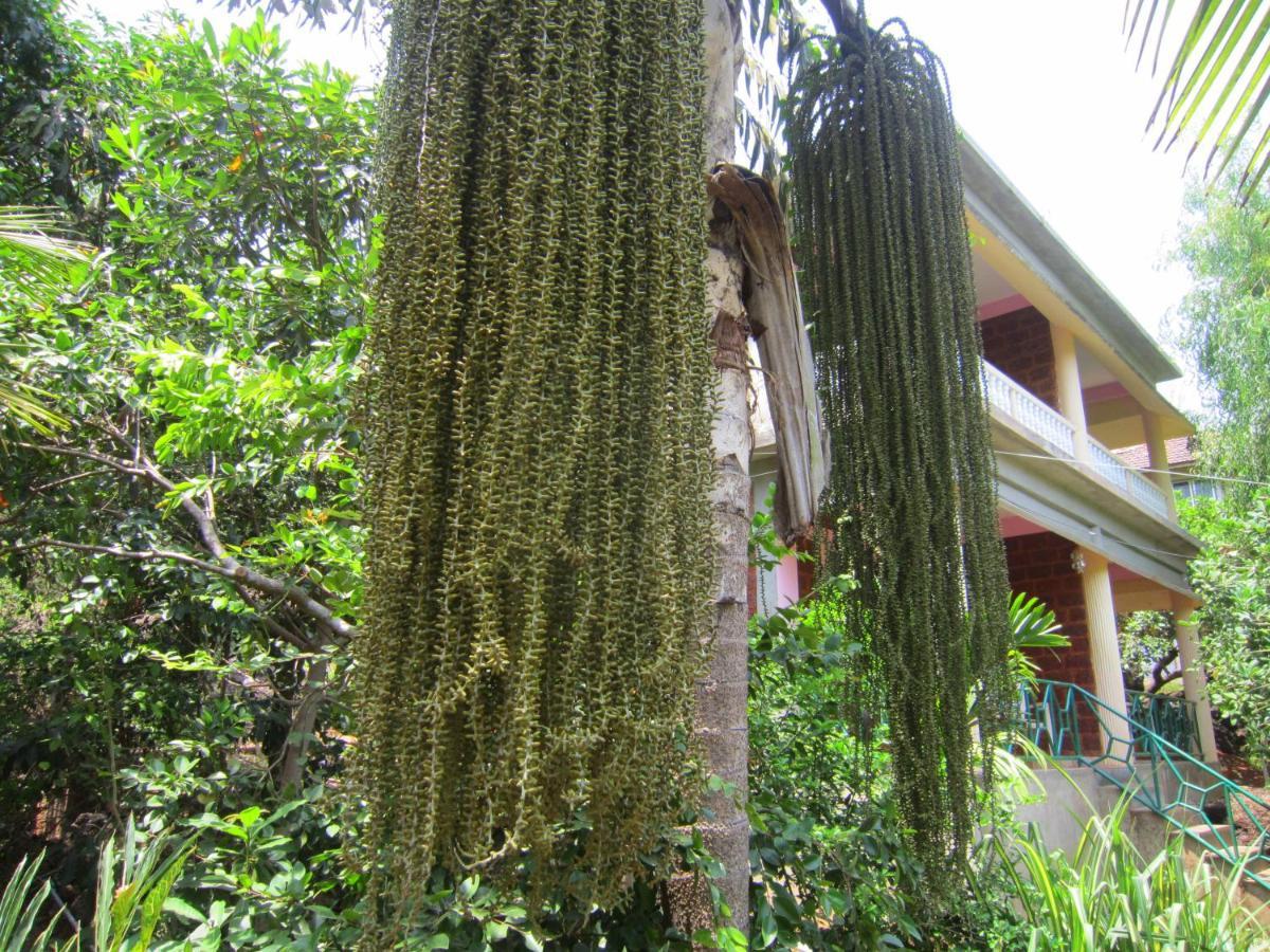 Namaste Yoga Farm Villa Gokarna  Buitenkant foto