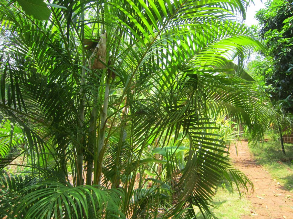 Namaste Yoga Farm Villa Gokarna  Buitenkant foto