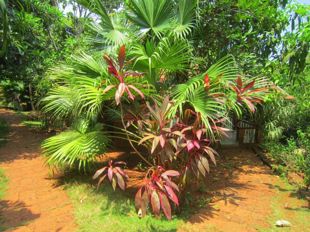 Namaste Yoga Farm Villa Gokarna  Buitenkant foto